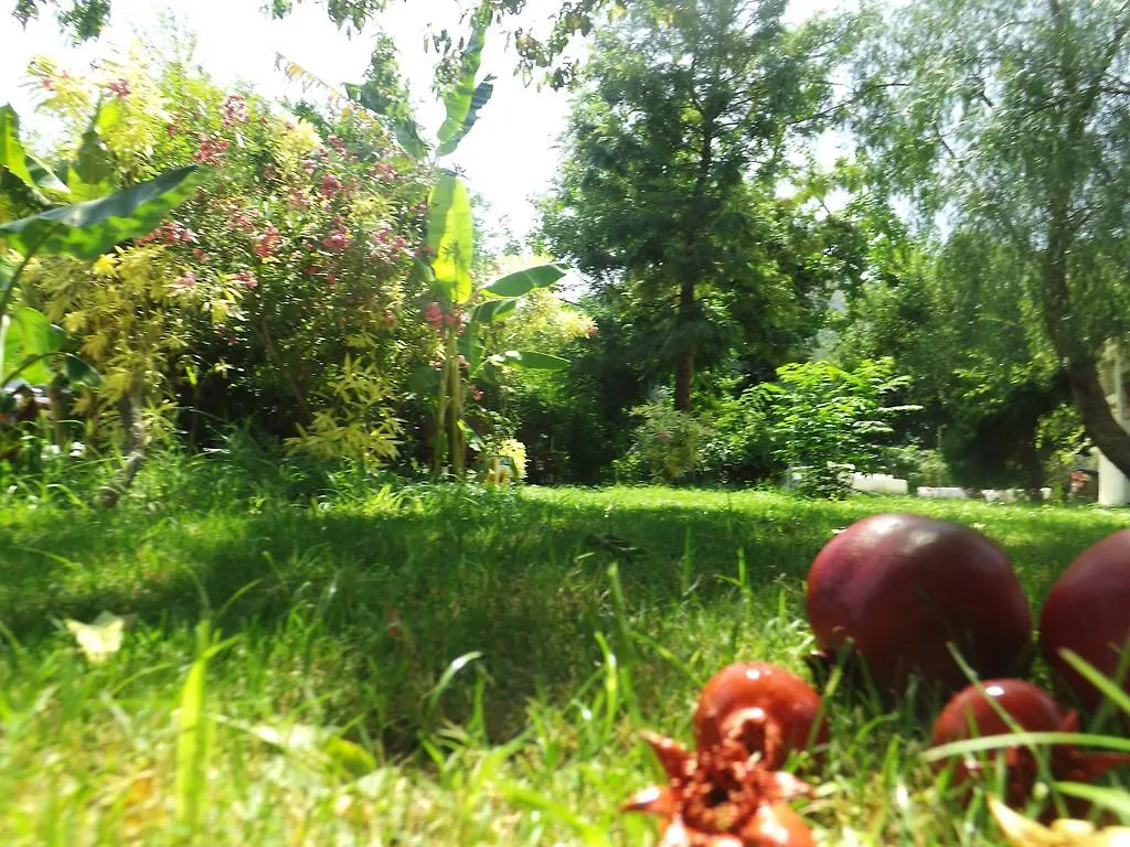 Narli Pansiyon Marmaris Bed & Breakfast