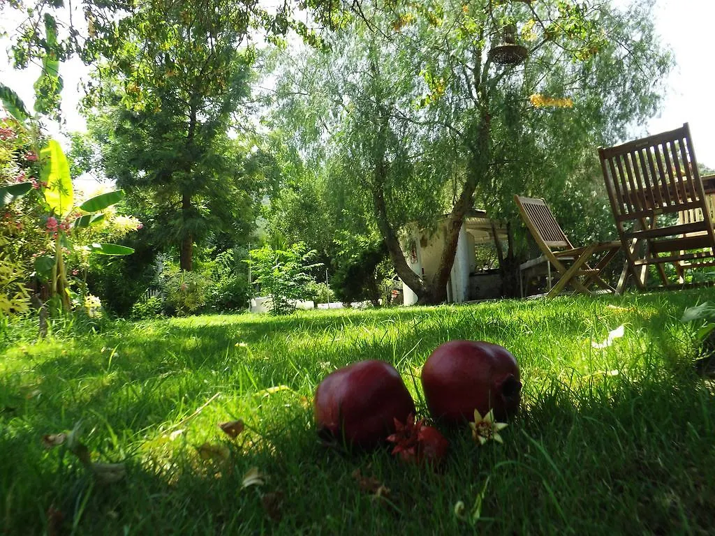 Oda ve Kahvaltı Narlı Pansiyon Marmaris